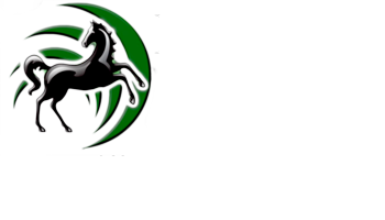 Chartered Accountant – Harobed and Associates